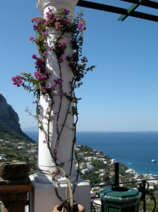 Capri 2
